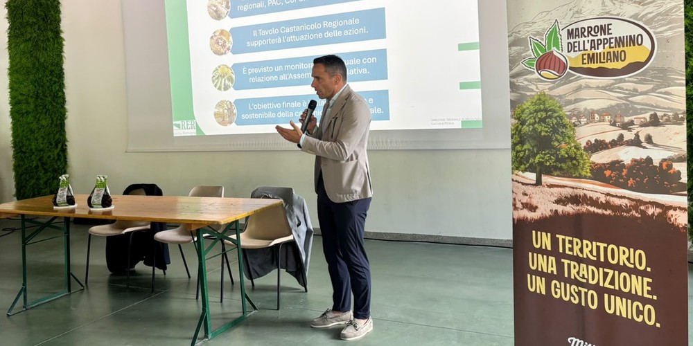 Enrico Bucchi, direttore generale di Valfrutta Fresco e responsabile commerciale Italia di Alegra.